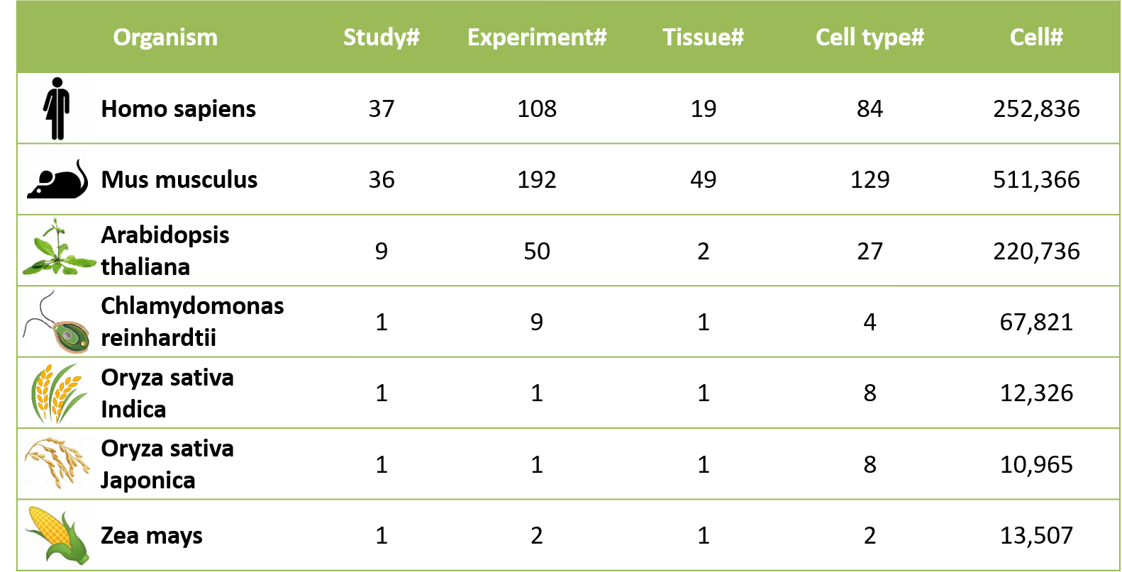 Overall statistics